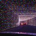 Experience the Magic of Christmas Lights in Austin, Texas