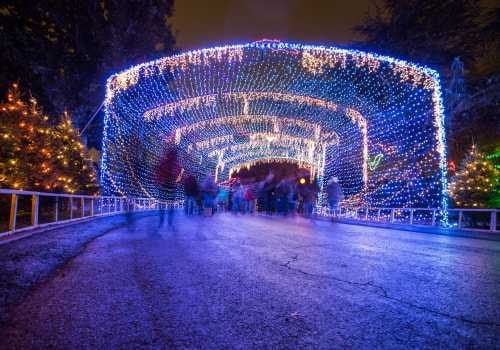 Lighting Displays in Austin, Texas: A Guide to the Best and Most Affordable Experiences